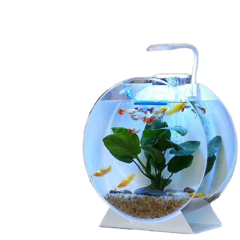 Aquarium Fish For Sale - 激安セール！モダンで環境に優しいアクリル製水槽、多様なサイズの卓上水槽、オフィス、リビング、ダイニング、寝室のアクセサリーに