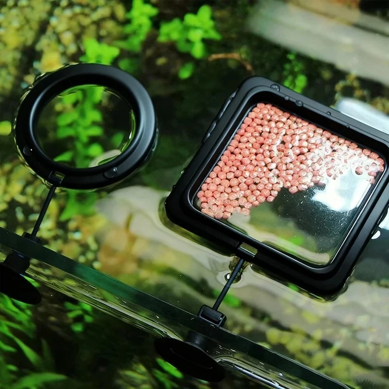 Aquarium Fish Medicine - 1/3個入り水槽用魚餌リング、水槽用ハート型フローティングステーション、フードトレイ、正方形・円形フィーダー、カップ付き水槽アクセサリー