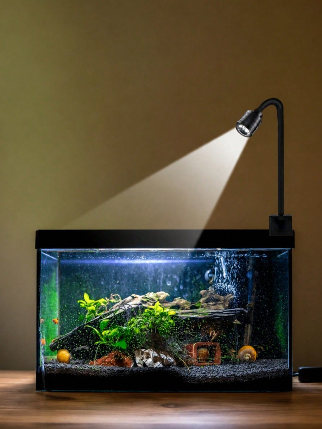 Aquarium Fish Goldfish - USB水槽ライト、ズーム式南米スポットライト、金魚水槽用クリップオンライト、水槽造景ライト、5V水槽ライト