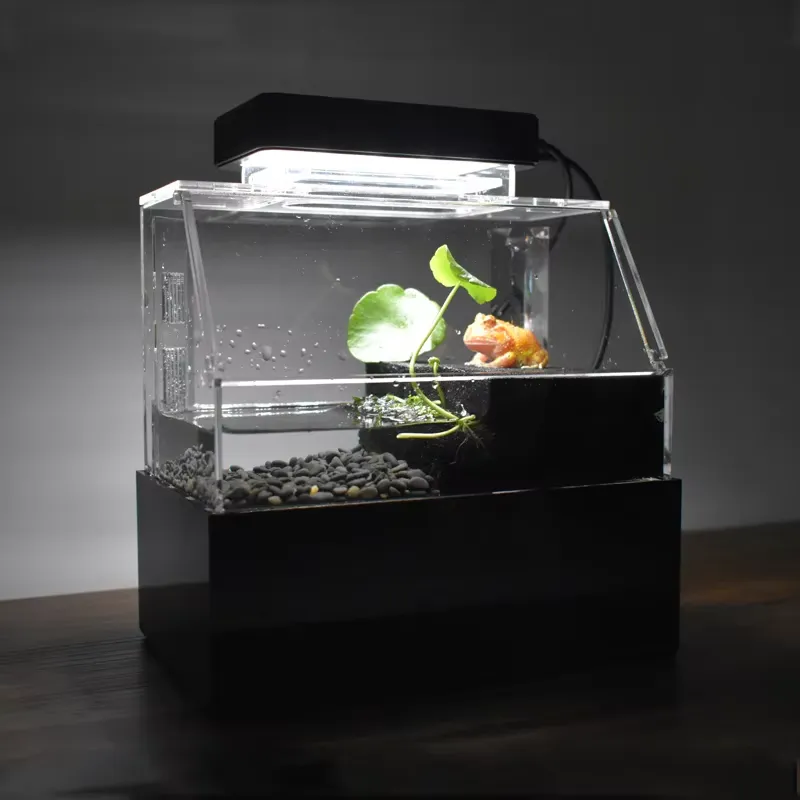 Aquarium Fish For Sale - リラックスラインズ カスタムデスクトップ水槽 ミニラグジュアリー装飾 室内用 カスタムミニカラフル水槽 販売中
