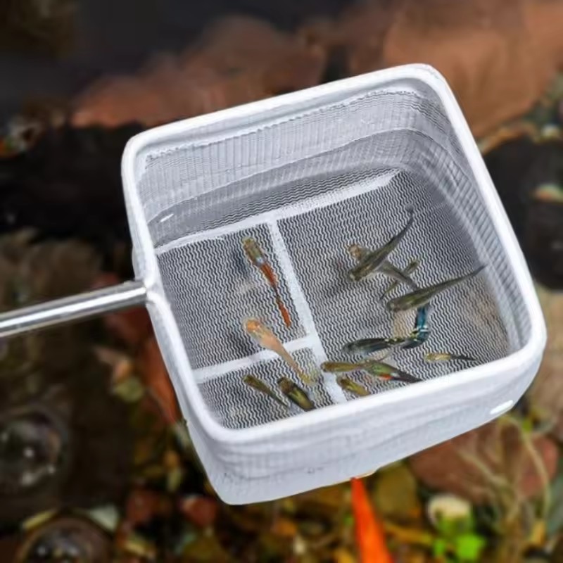 水槽清掃用具 水槽用魚網 小魚・エビ用網 水槽用釣り網 - Aquarium Fish Net のレビューと価格