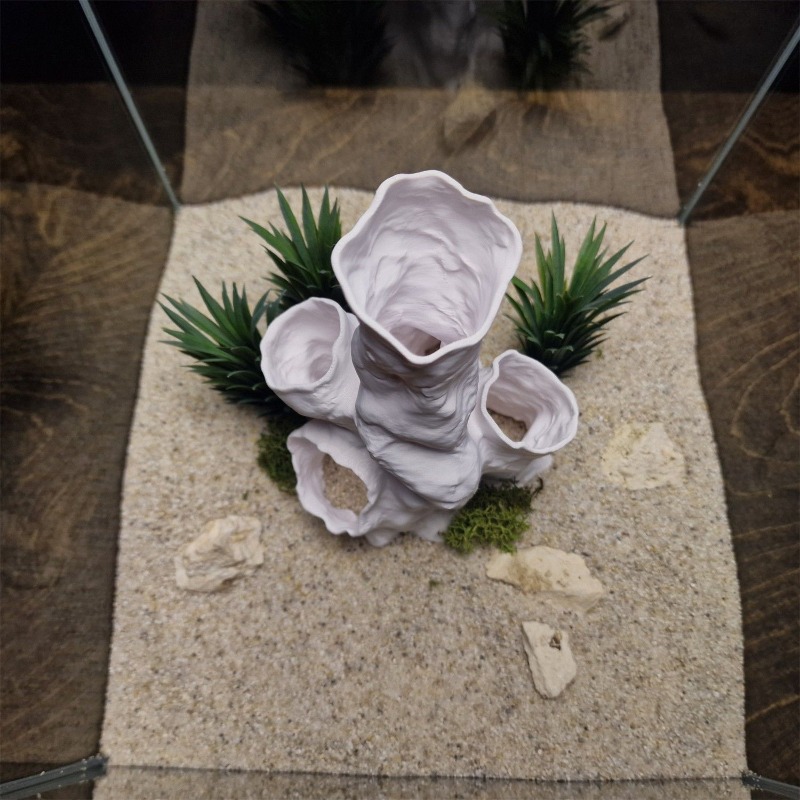ホットセール 3Dプリント サンゴトンネル 隠れ家 植物イン - Aquarium Fish For Sale のレビューと価格