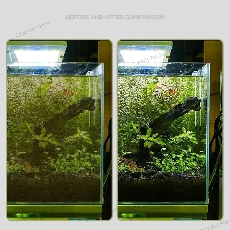 水槽クリーニングツールフラット砂藻類除去デュアルユースガラス - Aquarium Fish Net のレビューと価格