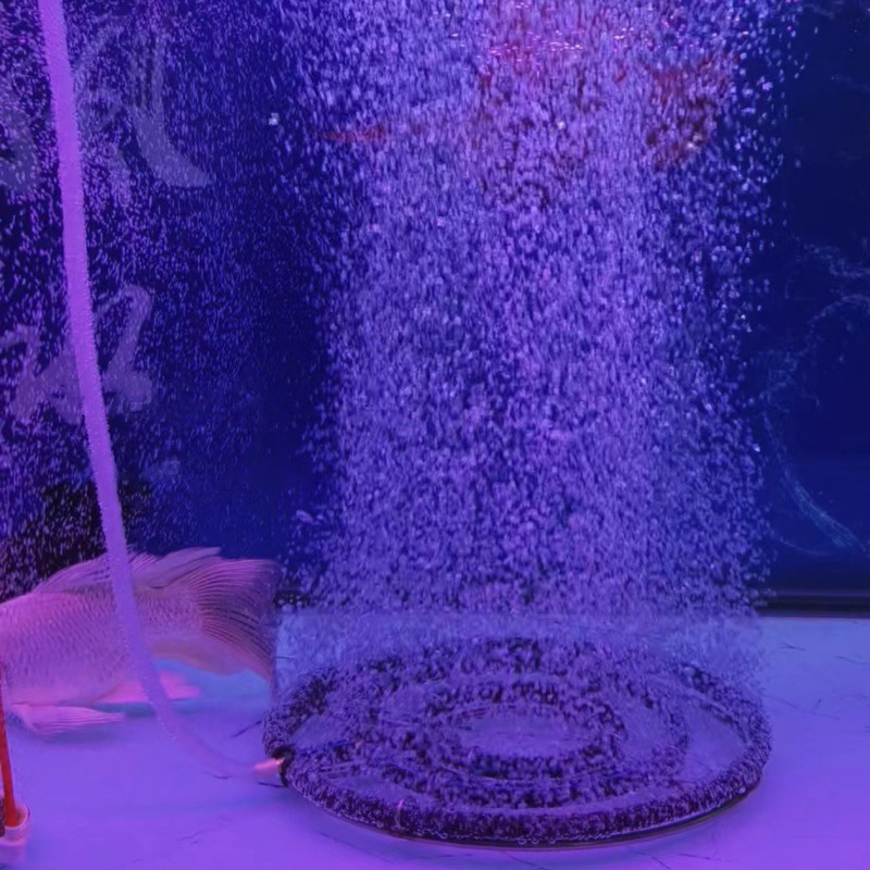 304ステンレス鋼ナノ酸素エアレーションディスク魚池鯉水槽酸 - Aquarium Fish Koi のレビューと価格