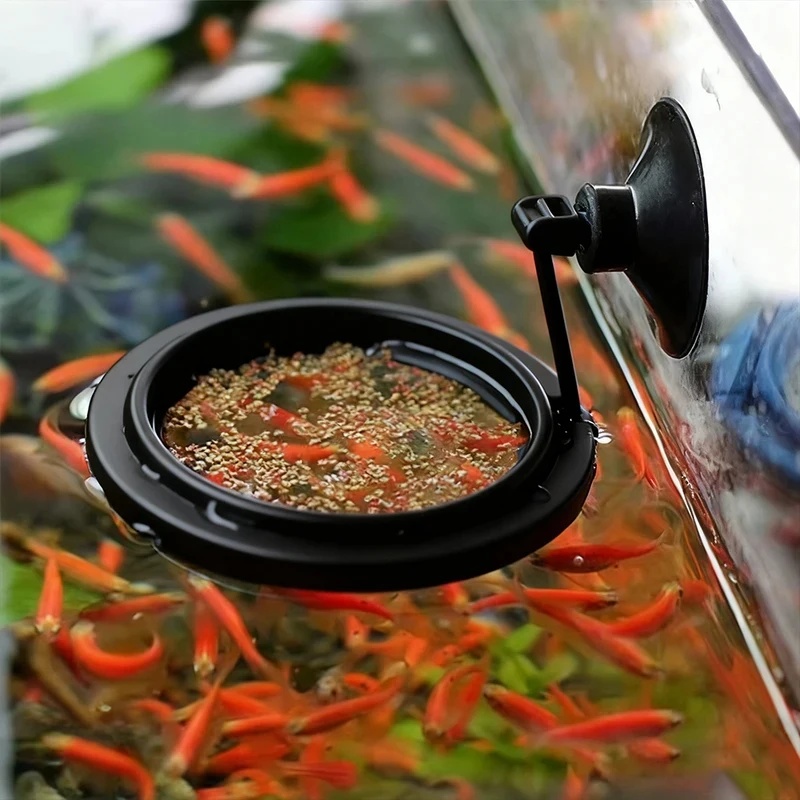 1/3個入り水槽用魚餌リング、水槽用ハート型フローティングス - Aquarium Fish Medicine のレビューと価格