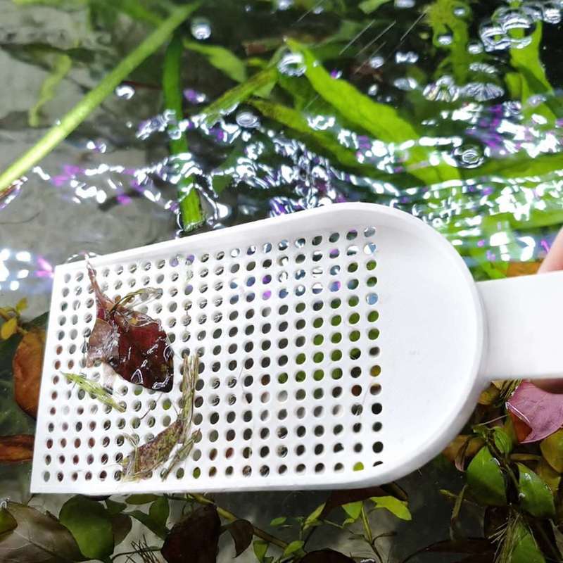 水槽用ゴミ取りネット、細かい網目、水草清掃ツール、毎日の水槽 - Aquarium Fish Net のレビューと価格