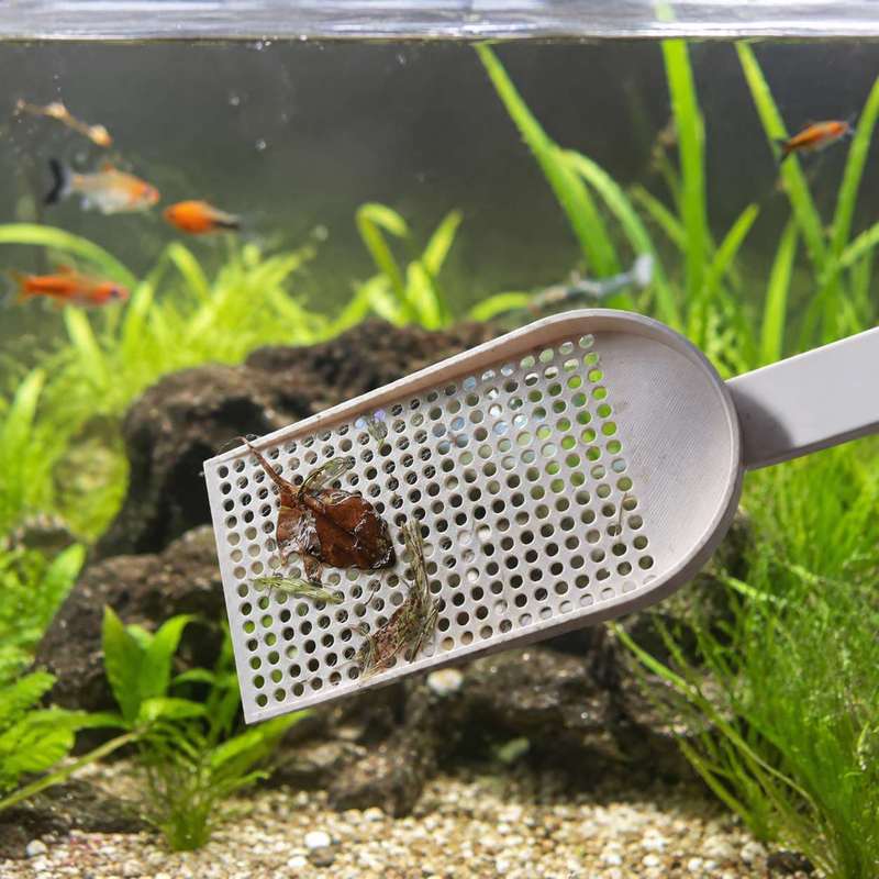 水槽用ゴミ取りネット、細かい網目、水草清掃ツール、毎日の水槽 - Aquarium Fish Net のレビューと価格