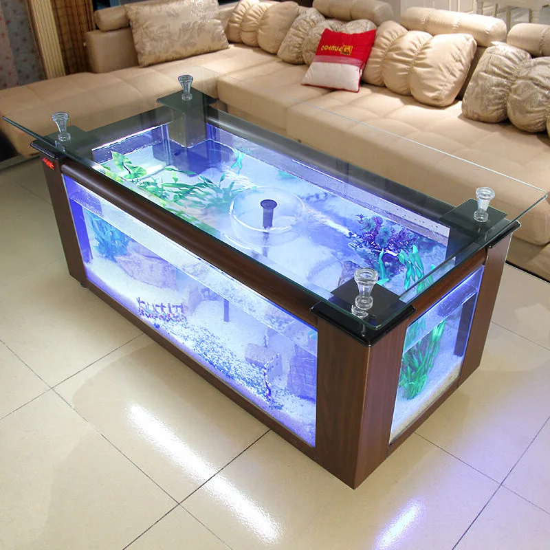 人気商品：大型の長方形ガラス製水槽。リビングに最適な、環境に - Aquarium Fish For Sale のレビューと価格
