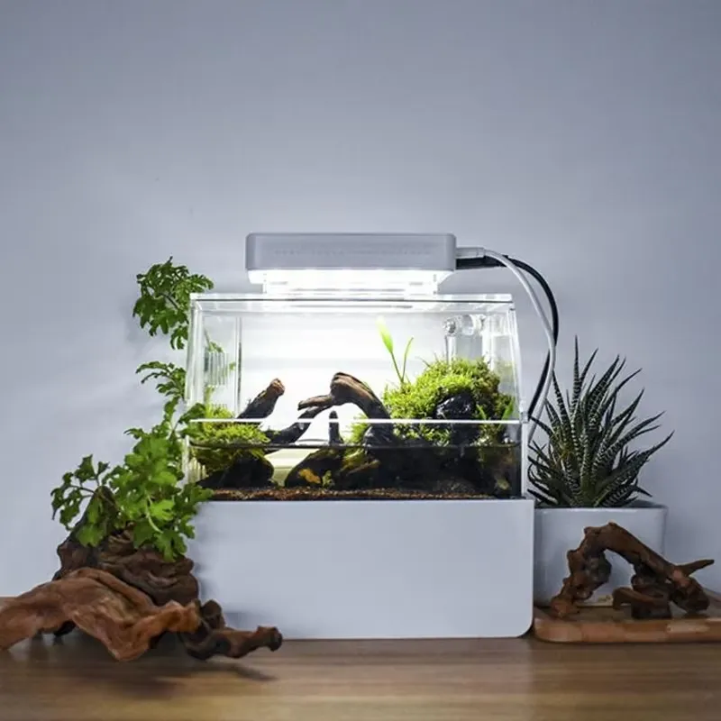 リラックスラインズ カスタムデスクトップ水槽 ミニラグジュア - Aquarium Fish For Sale のレビューと価格